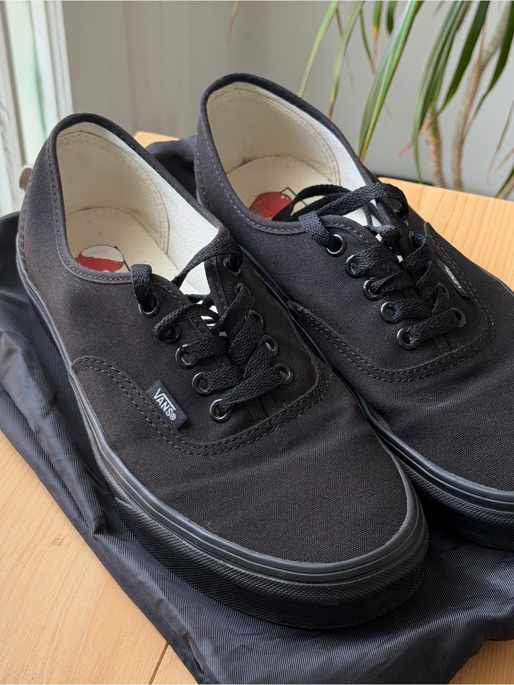 Vans Authentic Black Canvas Low-Top Sneakers